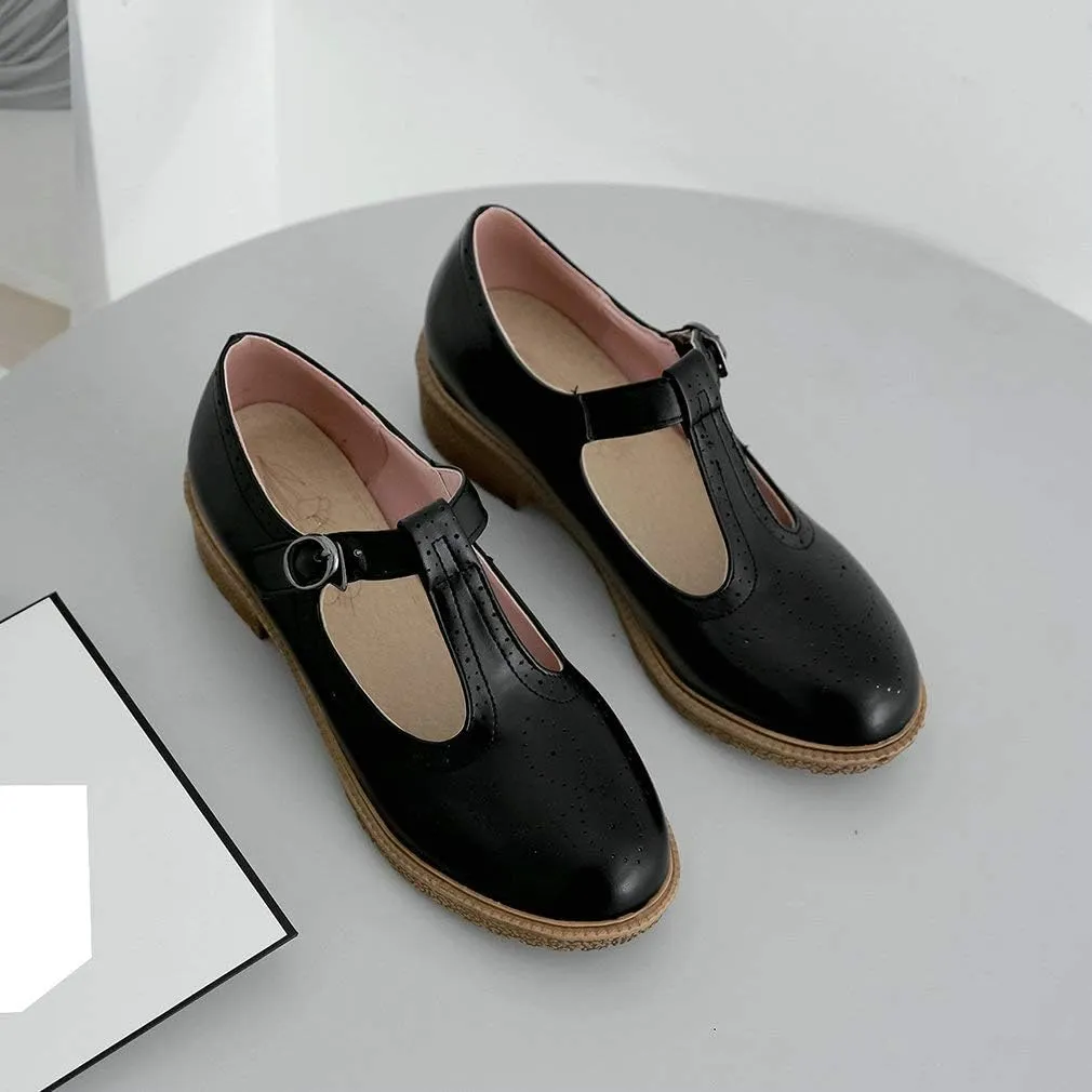 Parisuit Womens T Strap Mary Jane Low Heels Pumps Vintage Chunky Oxfords Dress Shoes